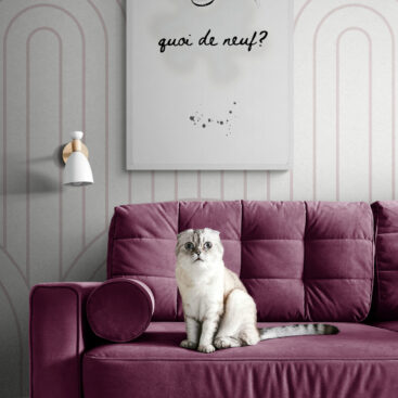 Quoi de neuf? Framed Poster