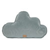 cloud velvet pillow grey mint