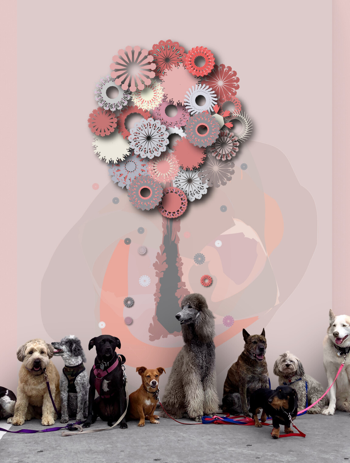 lovely tree wallpaper - pink blessing tree